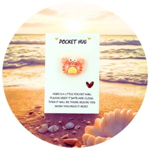 Pocket Hug krab strand