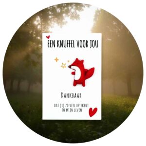 Pocket Hug Vosje dankbaar