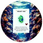 pocket hug zeepaardje