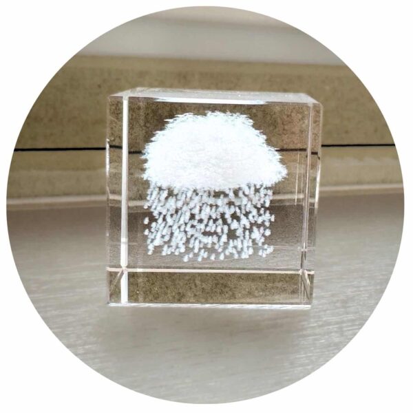 regenwolkje in glas op een houten plank