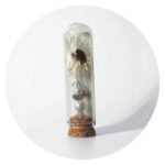 Stolpje met engel en droogbloem