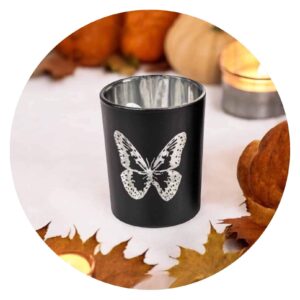 Lichtje Zwart zilveren vlinder