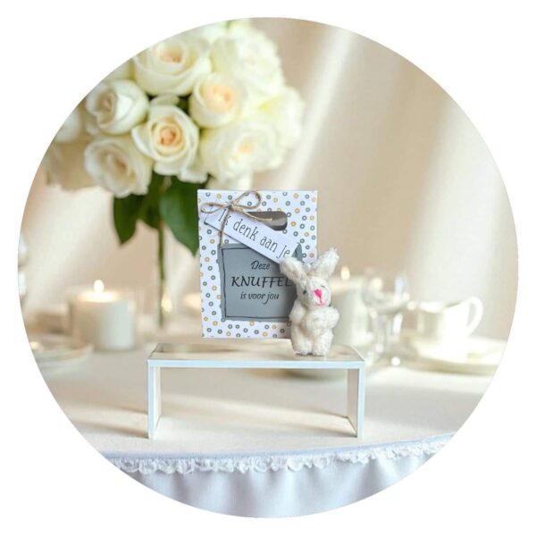 Konijn in papieren tasje