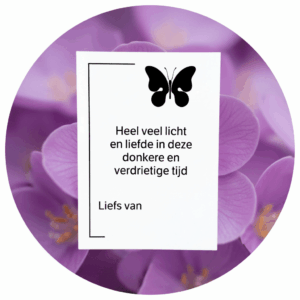 troostkaart vlinder veel liefs met een achtergrond van paarse bloemblaadjes
